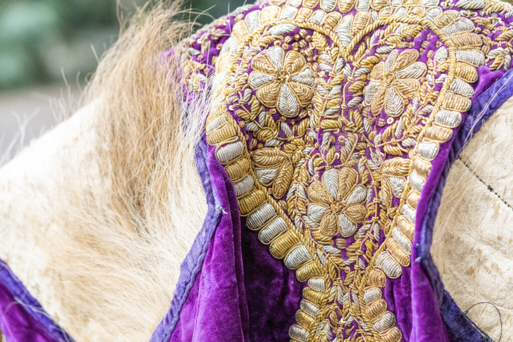 © Georg Tappeiner, Fondazione Navarini-Ugarte