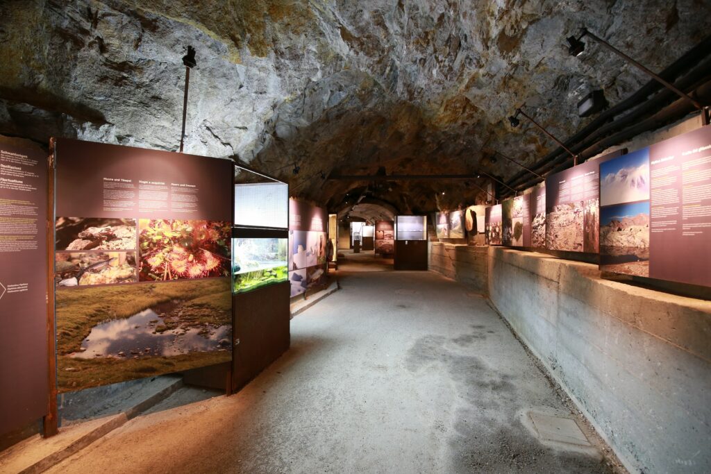 5_MuseumHinterPasseier_Bunker Mooseum_Ausstellung©Museum_HinterPasseier