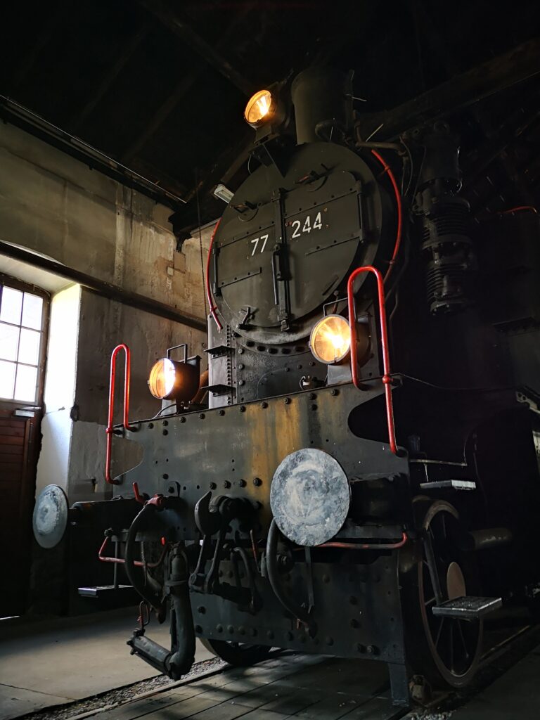 77.244 Foto EBFL_G.Moll