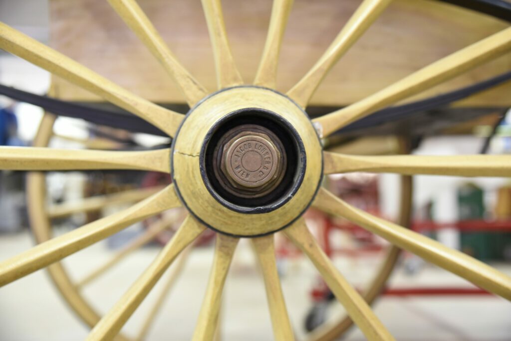 © Alessandro Ferrini