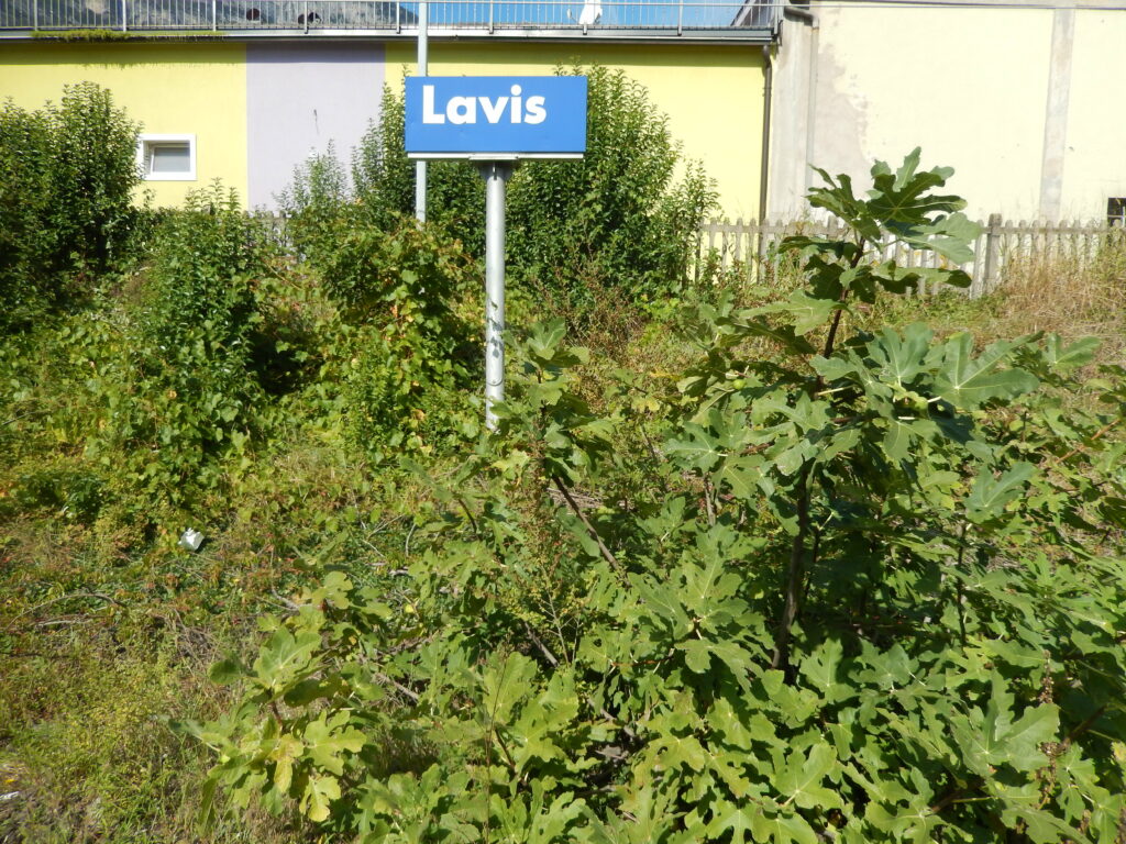 © Fondazione Museo Civico di Rovereto