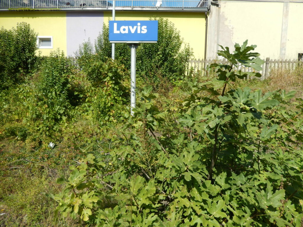 © Fondazione Museo Civico di Rovereto