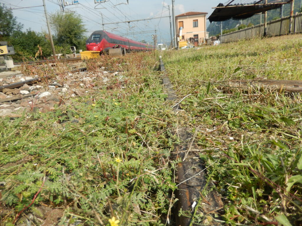 © Fondazione Museo Civico di Rovereto