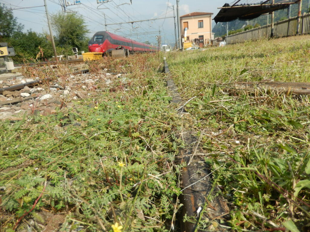 © Fondazione Museo Civico di Rovereto