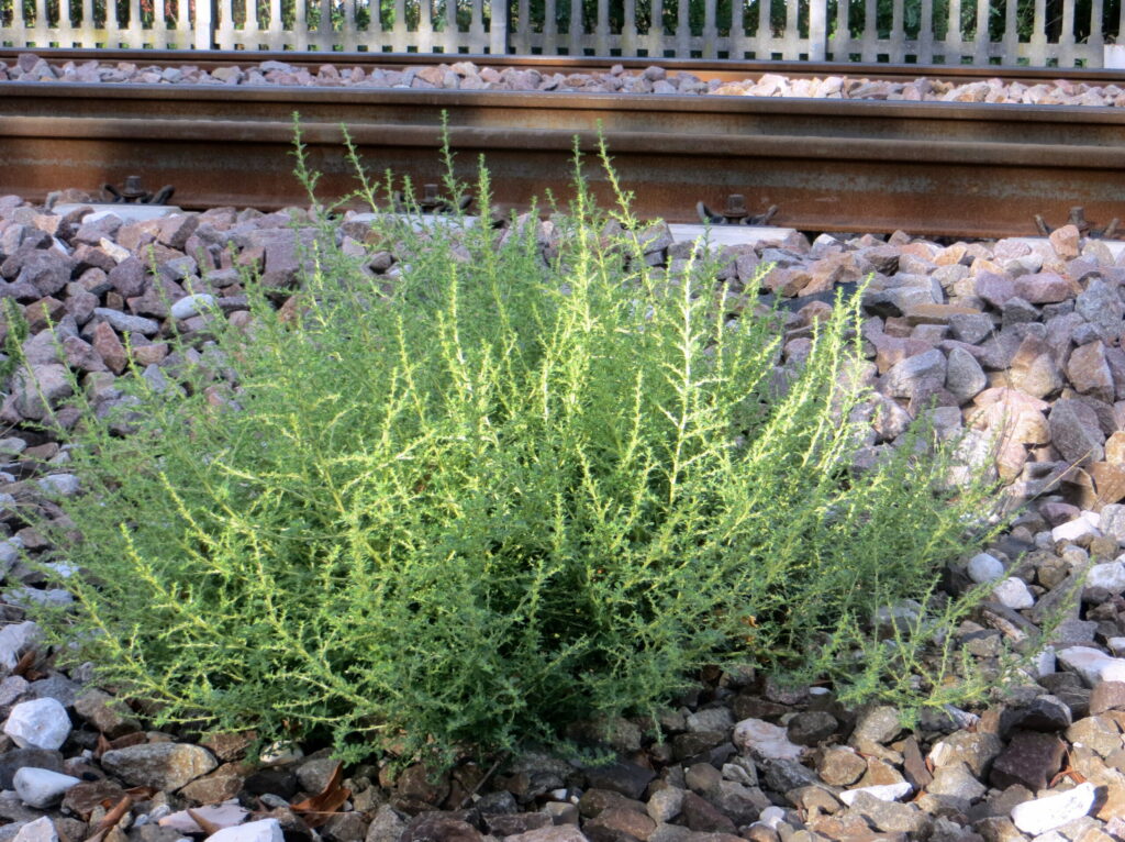© Fondazione Museo Civico di Rovereto