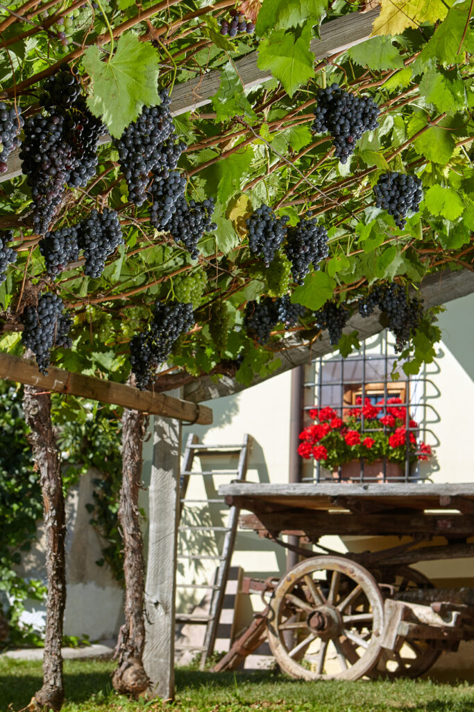 (c) Hermann Maria Gasser