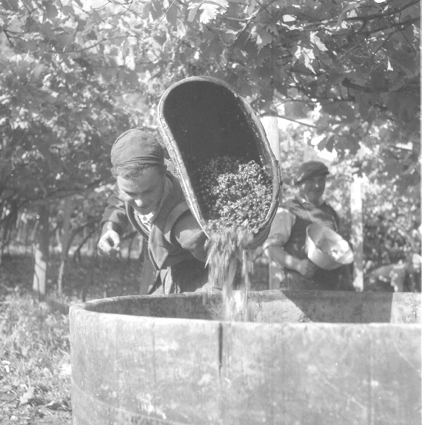 © Südtiroler Landesmuseum für Volkskunde, Archiv Erika Groth-Schmachtenberger