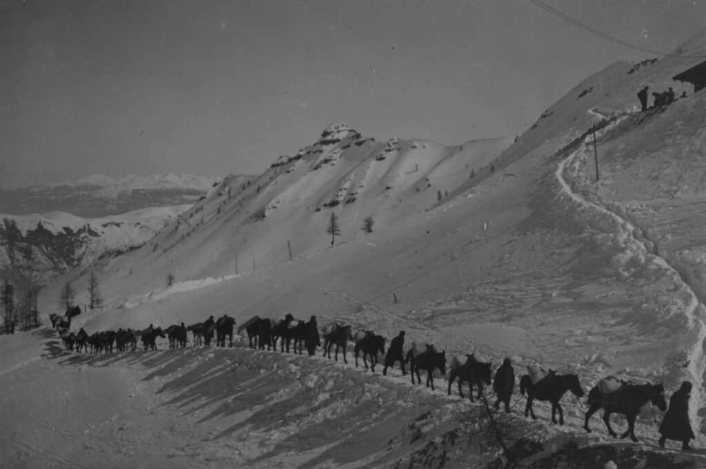 Trasporti di salmerie e vettovaglie verso il fronte austro-ungarico. 1917-18 [Archivio MSIG 301_47]