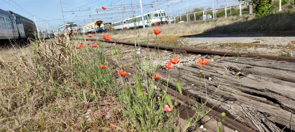 (c) Archivio Fondazione Museo Storico di Rovereto